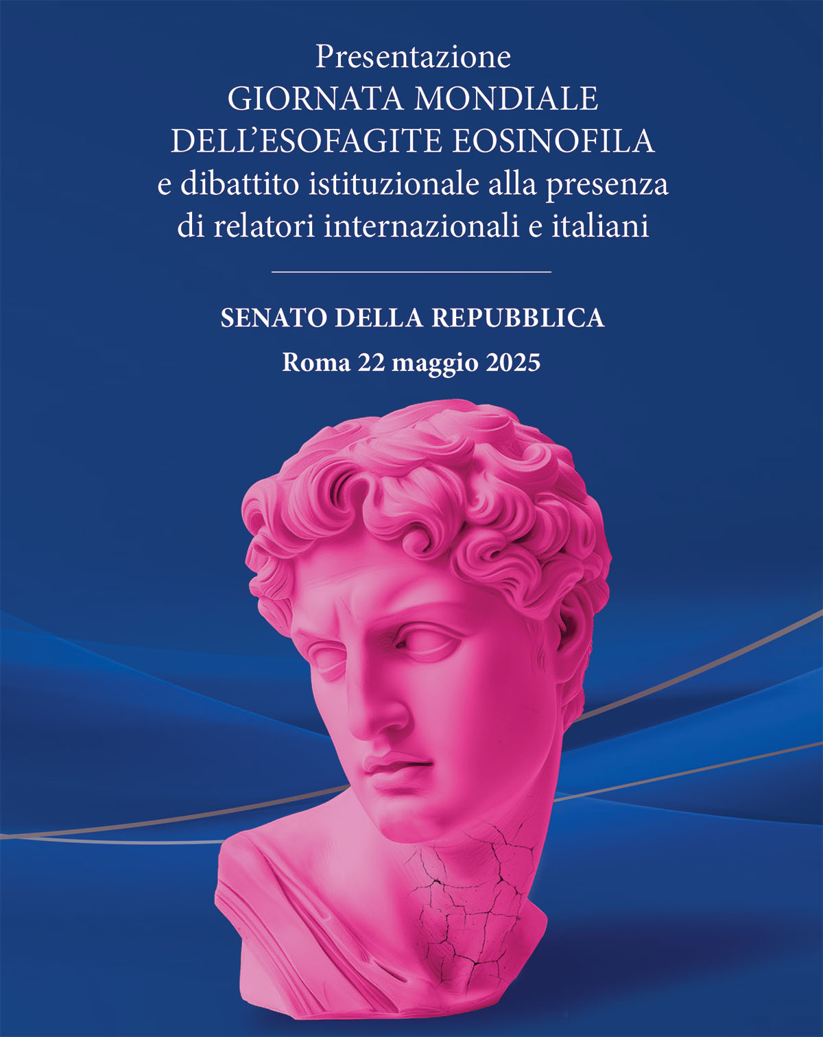 Dibattito Istituzionale 22 maggio 2025